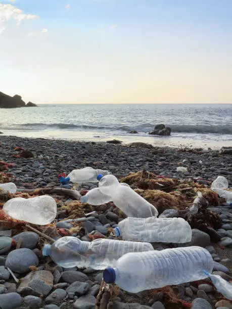 Plastic bottles washed on the Atlantic shoreline or beach polluting the environment in northern Spain