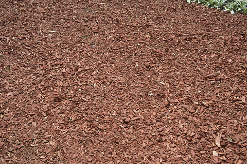 sawdust and tree bark as a mulch, protection for the young plants in the garden