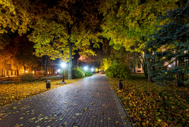 istock Night park in autumn with fallen yellow leaves. 1056660866