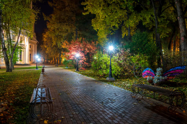 istock Night park in autumn with fallen yellow leaves. 1056660910
