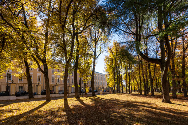 istock Leaf fall in the park in autumn with maples. 1056661108