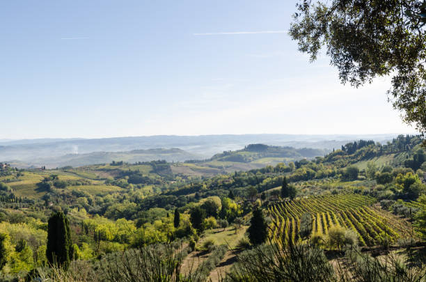 istock Green Tuscany landscape view 1056665068