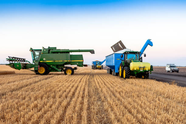 zbieranie pszenicy w moree, nowa południowa walia, australia. - business agriculture equipment farm zdjęcia i obrazy z banku zdjęć