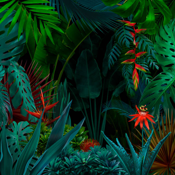 カラフルなナイト ジャングルを背景 - fern textured nature tree ストックフォトと画像
