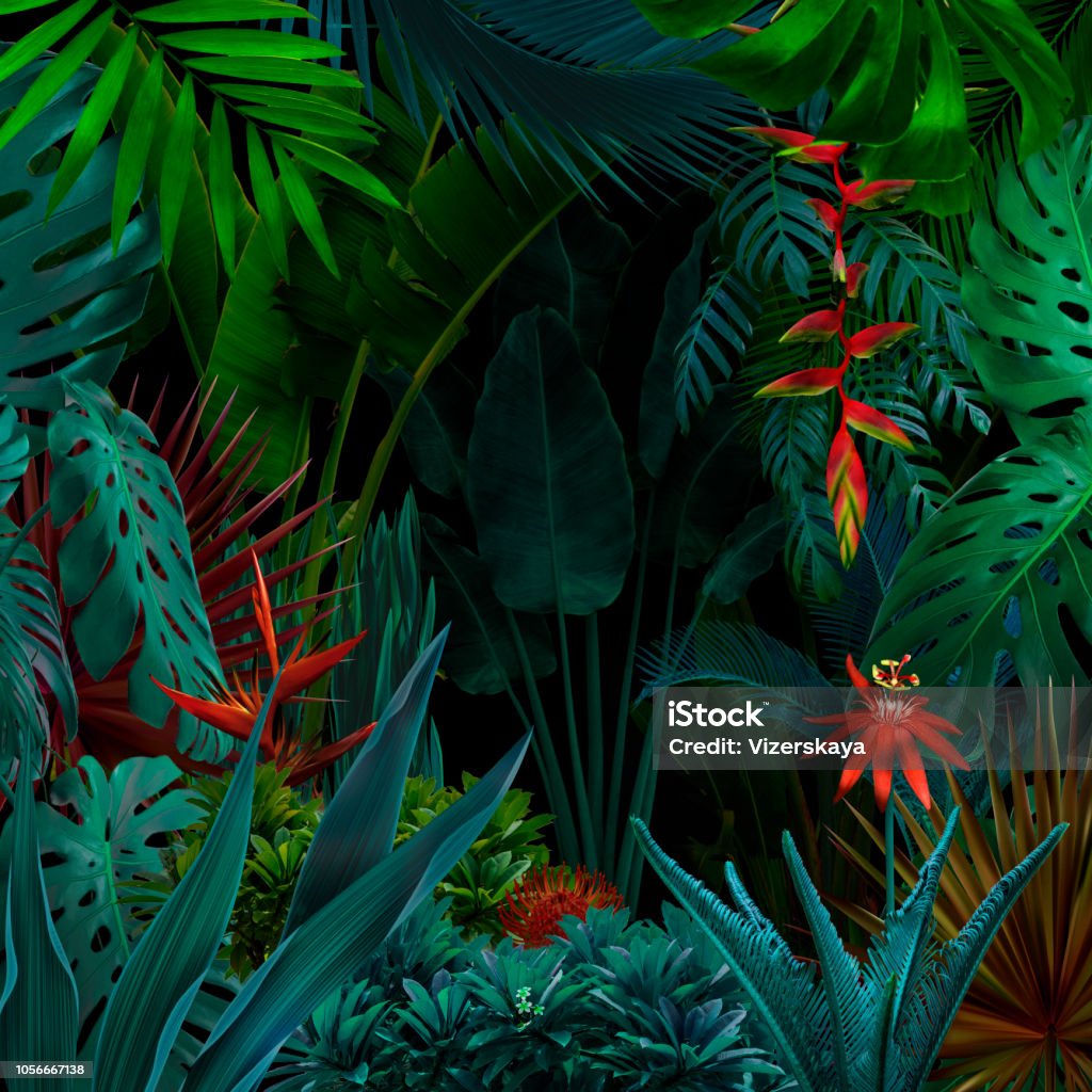 Colorful night jungle background Rainforest Stock Photo