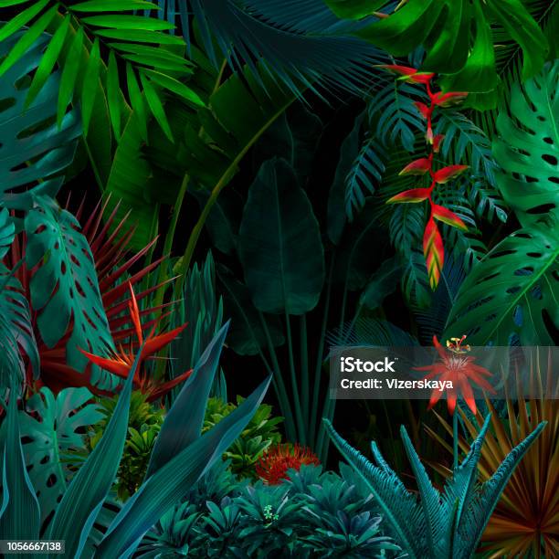 Colorful Night Jungle Background Stock Photo - Download Image Now - Rainforest, Tropical Climate, Backgrounds