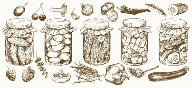 gläser mit eingelegtem gemüse und obst. - pickled stock-grafiken, -clipart, -cartoons und -symbole