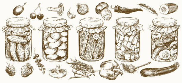 Jars with pickled vegetables and fruits. Jars with pickled vegetables and fruits. preserved food stock illustrations