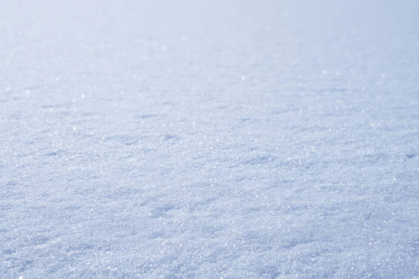 istock White winter background of fresh snow texture 1056669034