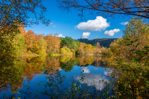 feuilles d’automne et ciel bleu, reflétée dans l’eau près de aberfoyle dans les trossachs, scotland, uk - autumn sky nobody lake photos et images de collection