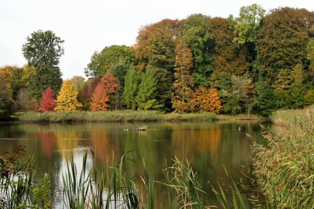 istock landscape autumn lake 1056670518