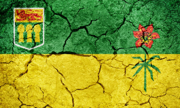 Saskatchewan, province of Canada, flag on dry earth ground texture background