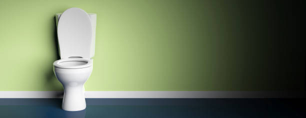 istock White toilet bowl on green painted wall background, banner, copy space. 3d illustration 1056675238