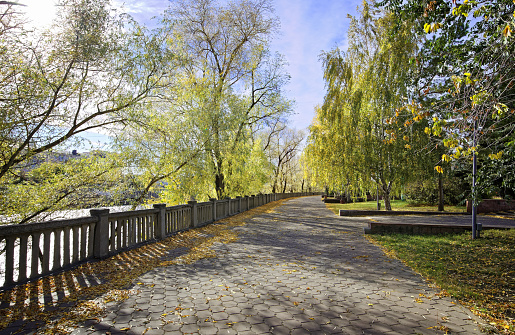 Autumn alley in the old park in the Siberian city of Omsk