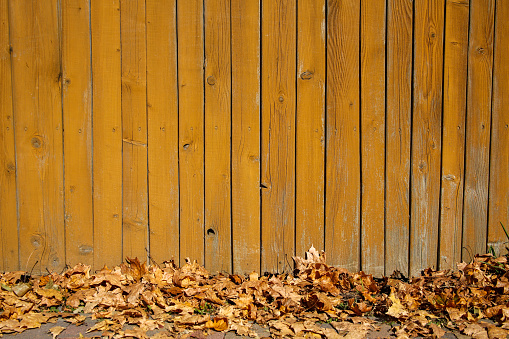 closeup of wooden fence and autumn leaves