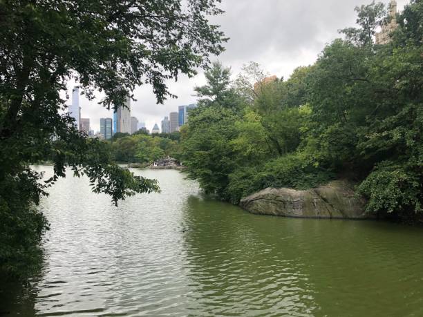 istock Central Park lake with city in background 1056688066