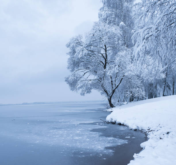 istock Winter landscape/toned photo 1056688854