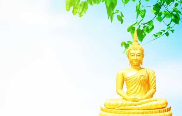 istock The golden Buddha statues 1056692324