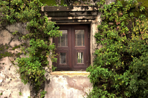 an old brick wall with a frame of a window laid with bricks overgrown with green ivy plants - broken window concrete wall imagens e fotografias de stock