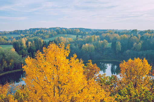City Korneti, Latvia. Trees and lake, autumn and sunny day. Travel nature photo 2018.