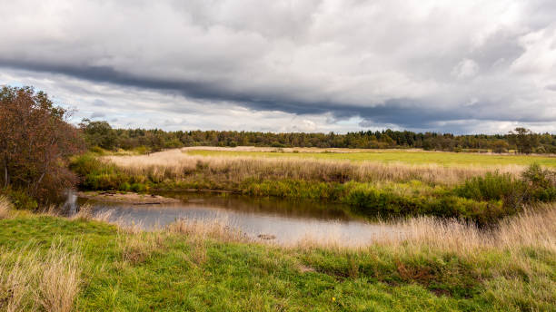 istock Autumn landscape with a river on a cloudy day 1056696434