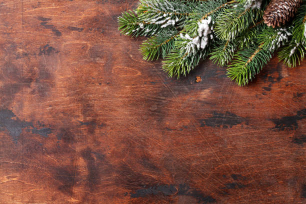 istock Christmas fir tree branch covered by snow 1056696726