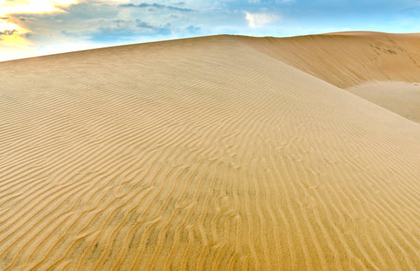 petites dunes quand le vent souffle chemin formant des plis belles sur le sable du désert - sahara desert coastline wind natural pattern photos et images de collection