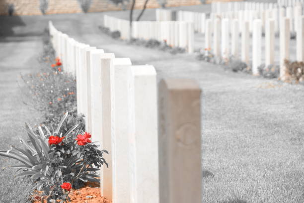 istock Military graves in a row 1056699950