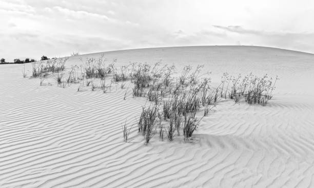 le coucher de soleil sur la colline de sable - sahara desert coastline wind natural pattern photos et images de collection