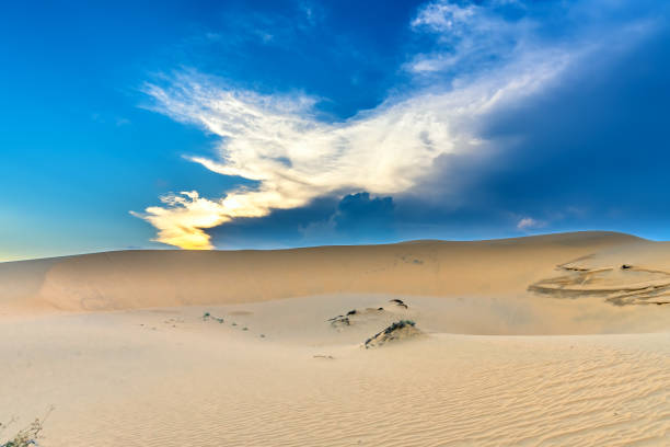 le coucher de soleil sur la colline de sable - sahara desert coastline wind natural pattern photos et images de collection