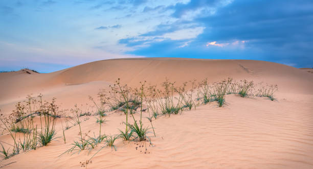 le coucher de soleil sur la colline de sable - sahara desert coastline wind natural pattern photos et images de collection