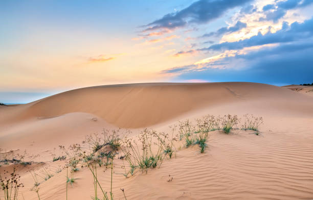 le coucher de soleil sur la colline de sable - sahara desert coastline wind natural pattern photos et images de collection