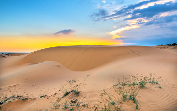 le coucher de soleil sur la colline de sable - sahara desert coastline wind natural pattern photos et images de collection