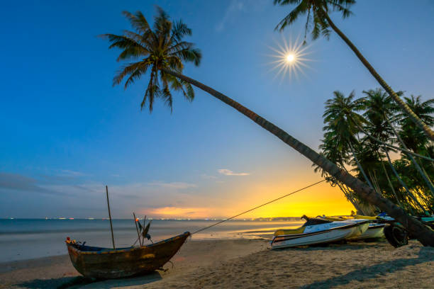 istock Bright moonlight on the beautiful beach with coconut trees 1056704486