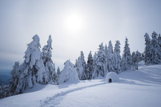 istock Snow hiking and extreme camp 1056704816