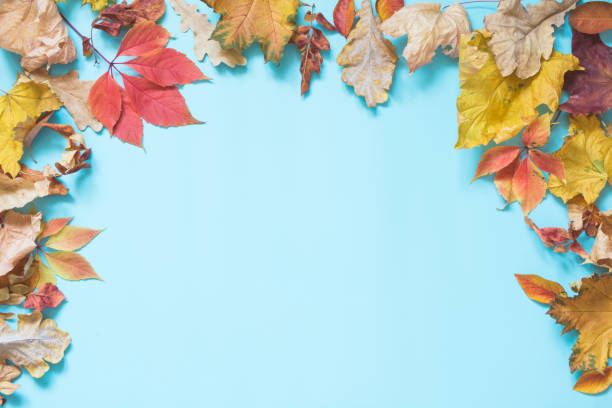 istock Fallen colorful leaves and copy space on punchy blue. Top view. Autumn frame. 1056710252