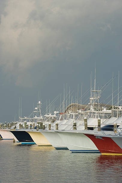 istock Pirate's Cove Marina 105671032
