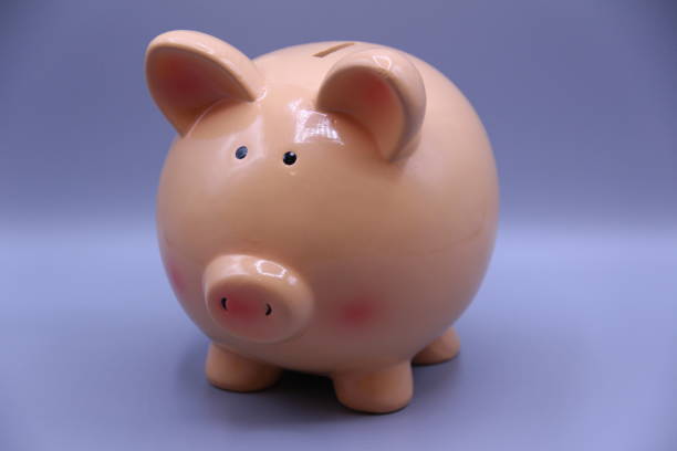istock Piggy bank with savings with grey background 1056710416