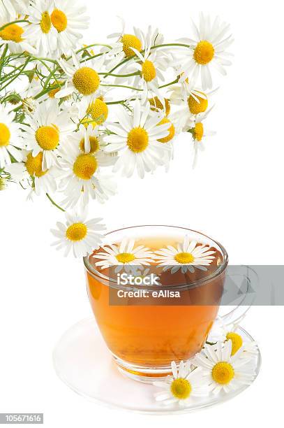 Photo libre de droit de Thé À La Camomille Aux Plantes banque d'images et plus d'images libres de droit de Aliment - Aliment, Blanc, Boisson