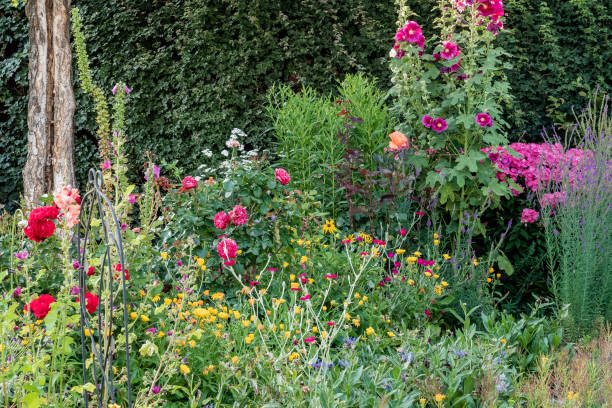 istock Colorful flower garden in summer II 1056718158