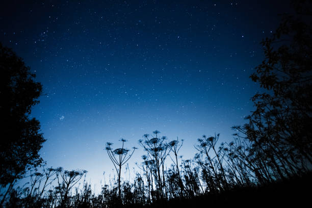 istock Blue dark night sky with many stars 1056723130
