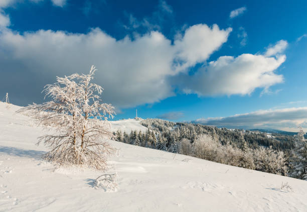 istock Winter Carpathian mountain, Ukraine 1056725186