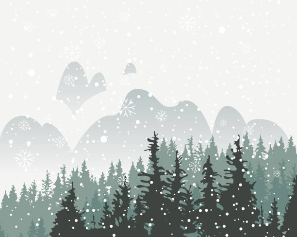 illustrations, cliparts, dessins animés et icônes de paysage d’hiver enneigé avec sapins séculaires - noble fir