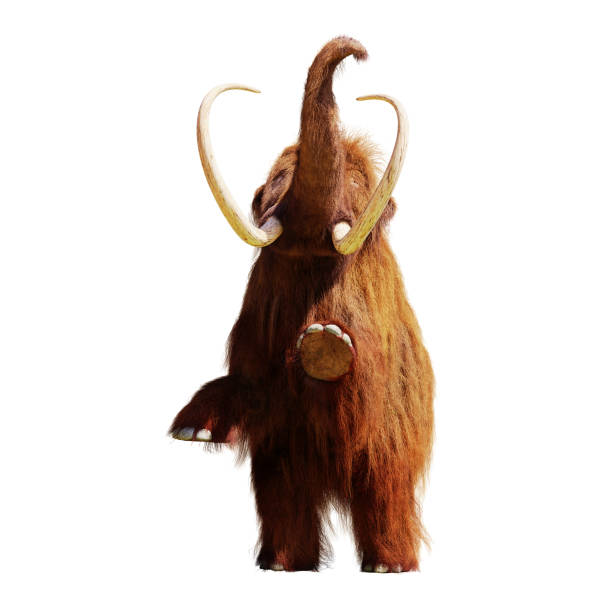 istock woolly mammoth standing on two legs, extinct prehistoric animal isolated on white background (3d illustration) 1056742680