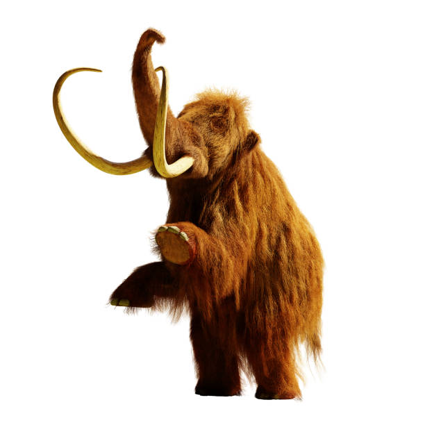 istock woolly mammoth standing on two legs, extinct prehistoric animal isolated with shadow on white background (3d rendering) 1056743072