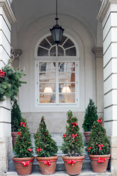 istock Decorated Christmas trees in pots near old house 1056743326