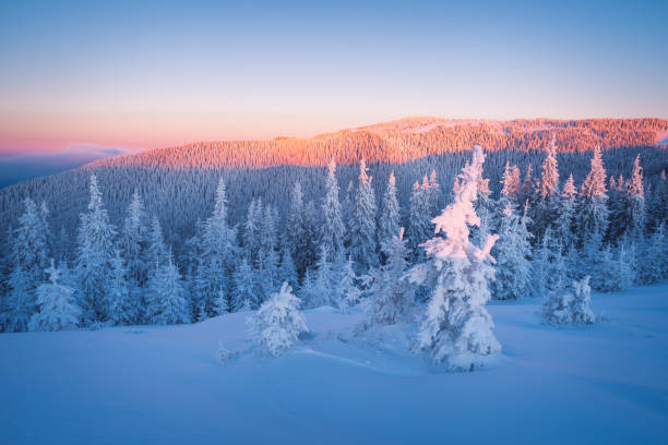 istock Winter Landscape frosty morning 1056744676