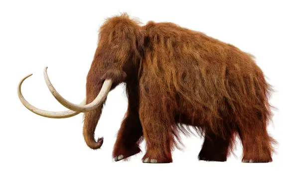 huge ice age animal, cutout on white ground