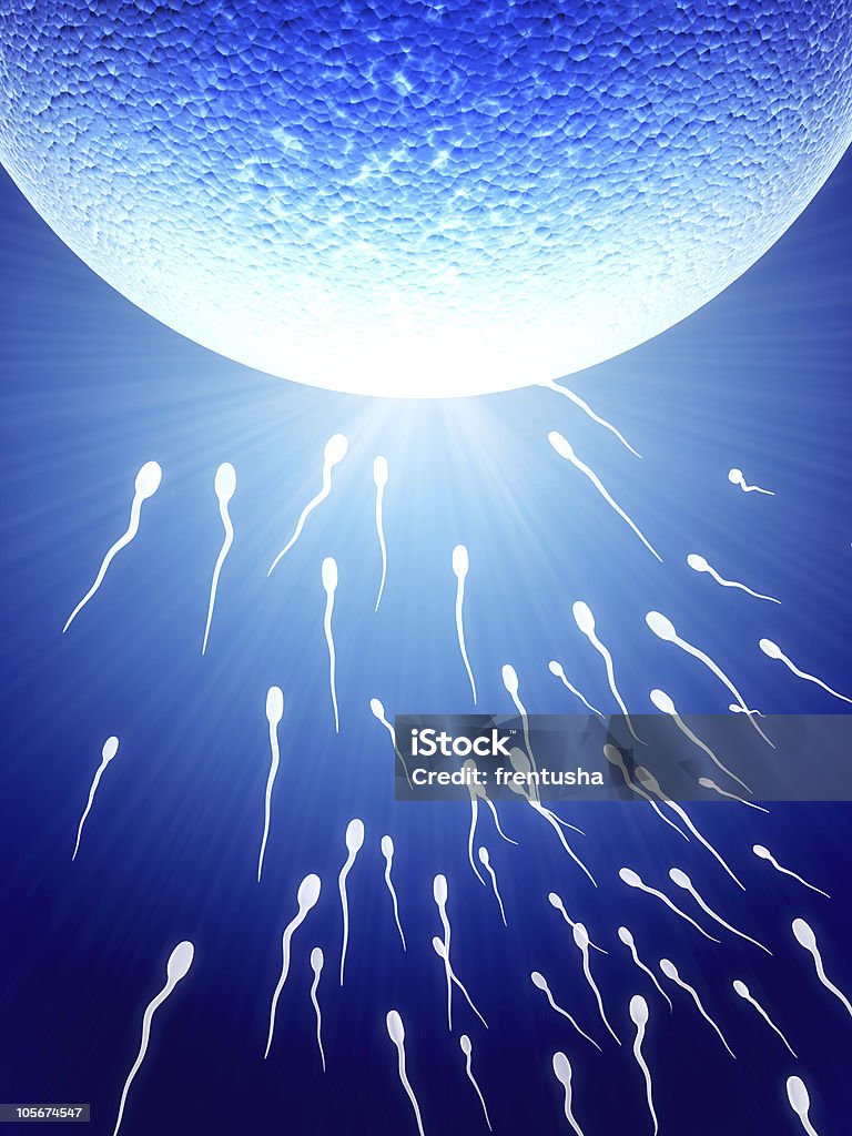 Spermatozoons, schwimmende, ovule - Lizenzfrei Anatomie Stock-Foto