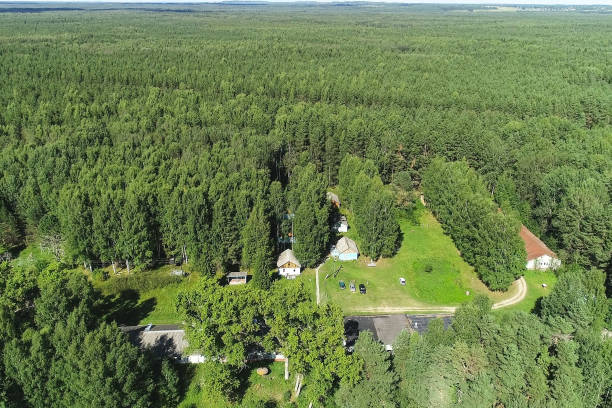 istock Summer warm sun light forest aerial view. Flying over the forest from above. Top view. 1056748830